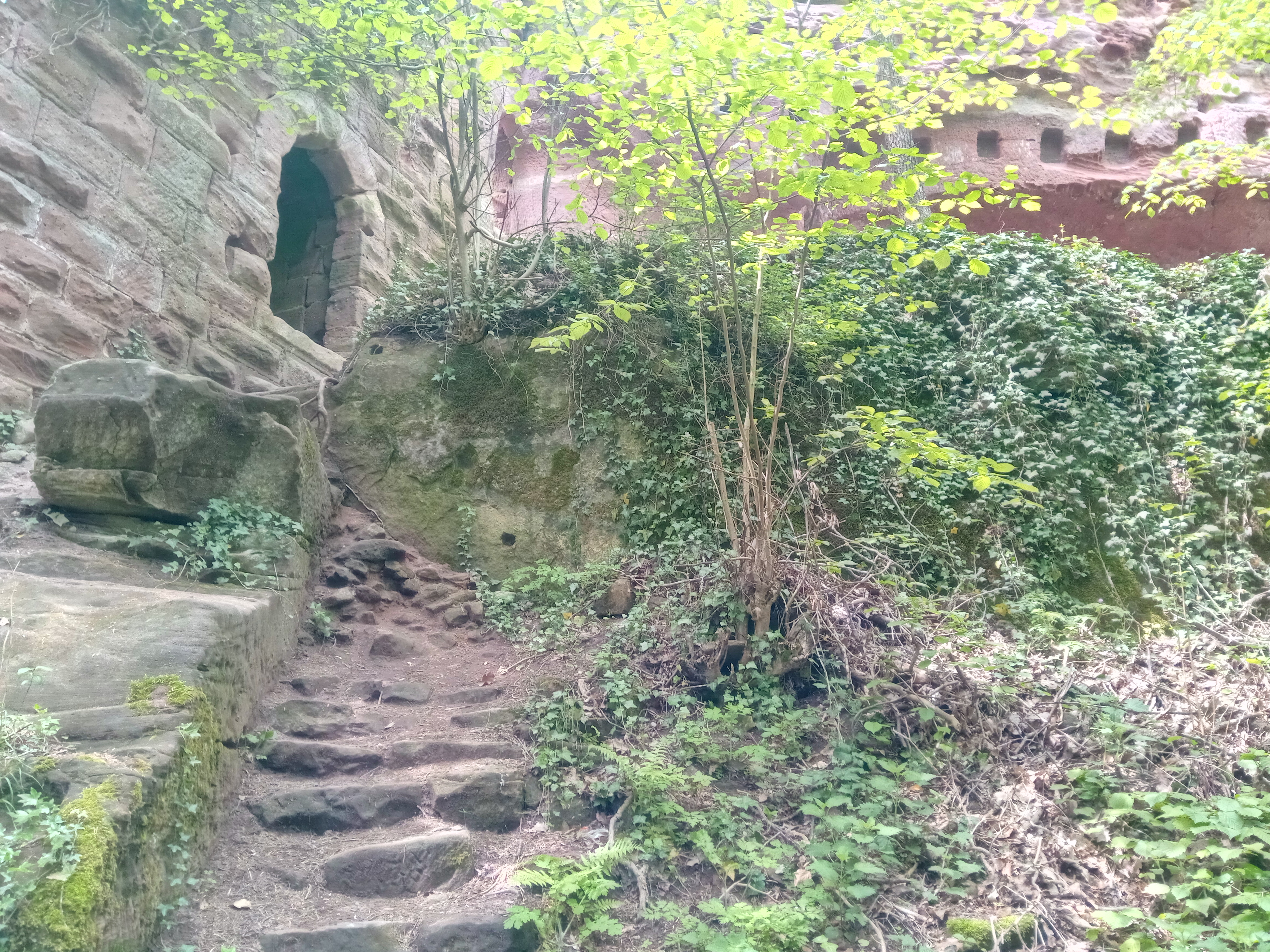 Photo n° 16 de l'avis de Ives.e fait le 03/05/2019 à 12:37