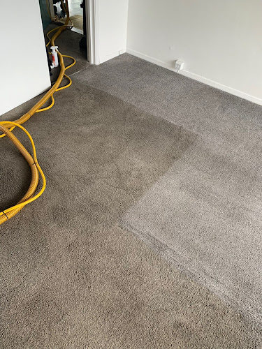 Reviews of Worthing Carpet Cleaning Services in Worthing - Laundry service