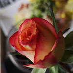 Photo n°3 de l'avis de Johannes.e fait le 21/04/2024 à 20:23 sur le  Wirtshaus in der Altstadt Meinerzhagen à Meinerzhagen