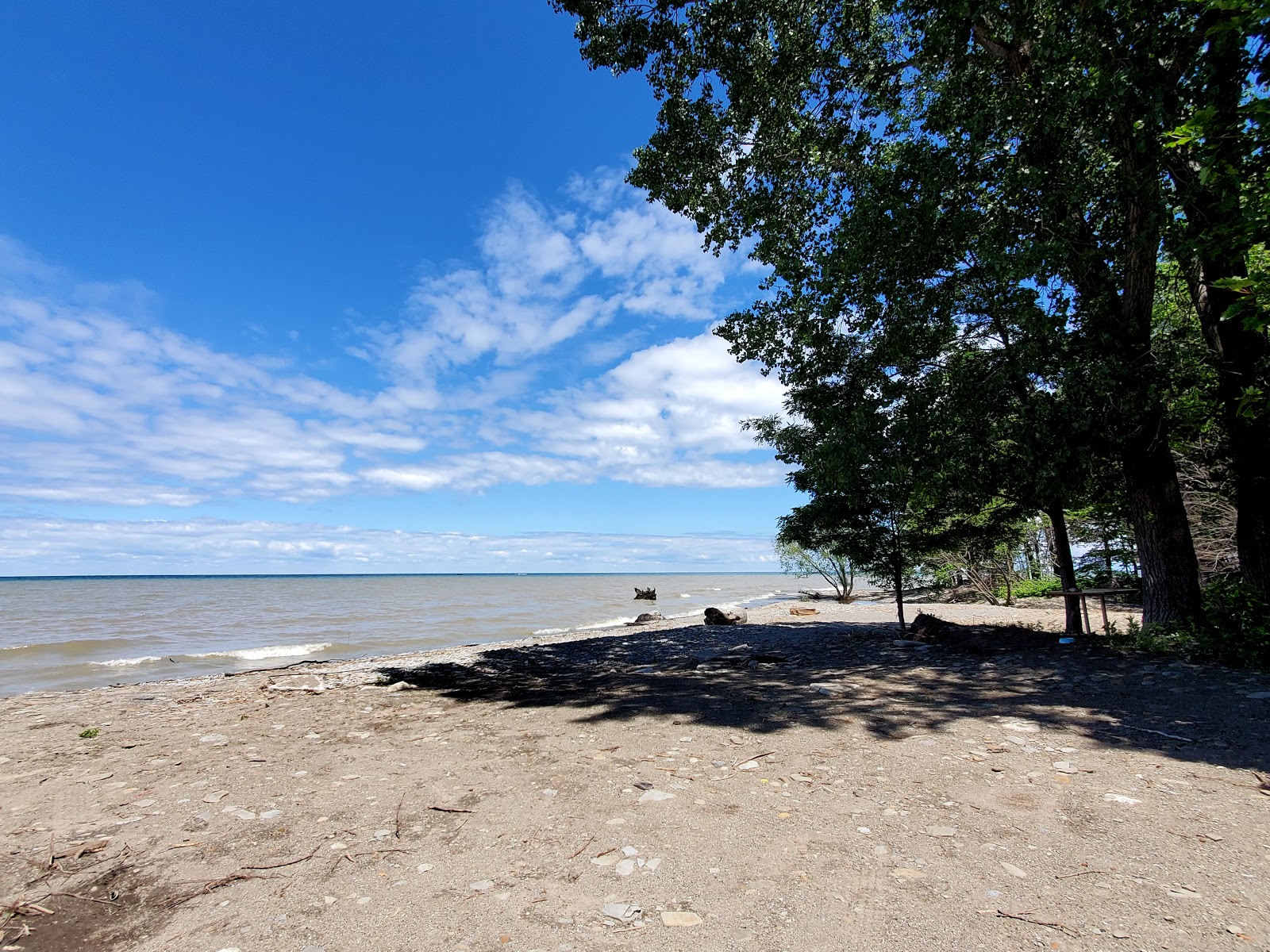 Shorewood Beach'in fotoğrafı ve yerleşim