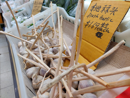 Asian Grocery Store «Win Li Supermarket», reviews and photos, 374 Elmira Rd, Ithaca, NY 14850, USA