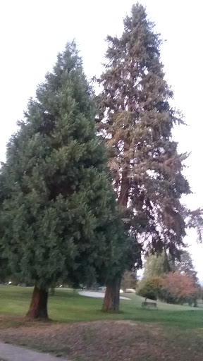 Golf Course «Oakway Golf Course», reviews and photos, 2000 Cal Young Rd, Eugene, OR 97401, USA