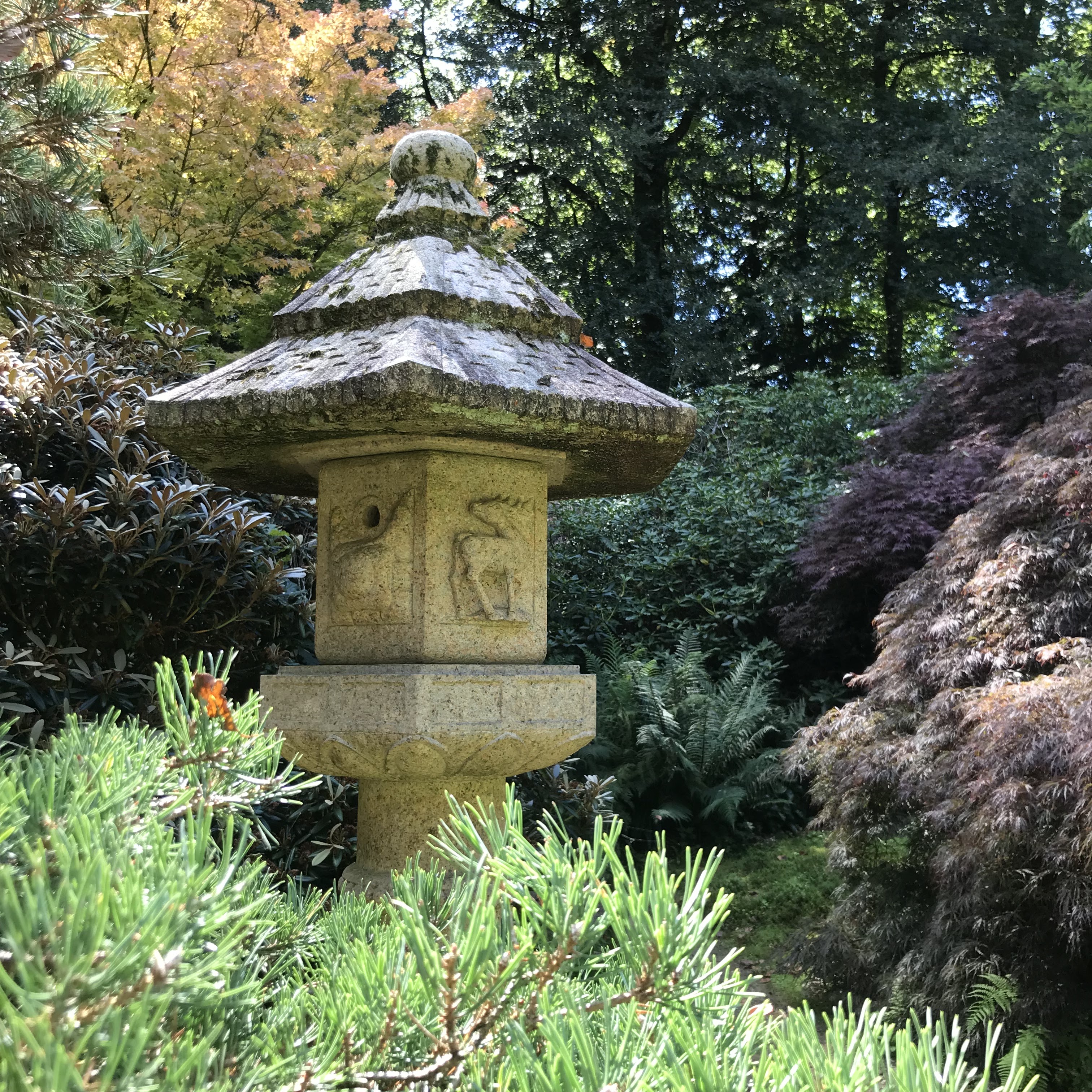 Photo n° 2 de l'avis de Mia. fait le 21/08/2023 à 18:03
