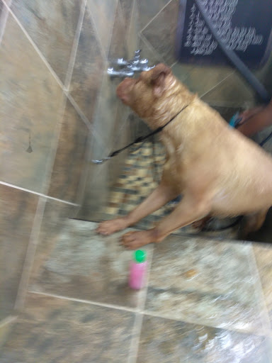 Pet Supply Store «Pet Valu», reviews and photos, 16675 Chagrin Blvd, Shaker Heights, OH 44120, USA