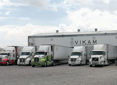 Exportadores VIKAM S de RL de CV