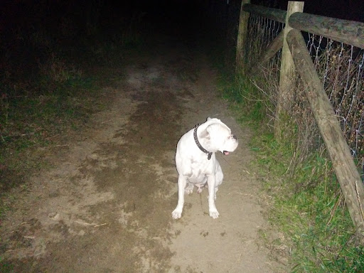 Golf Club «Bunker Hills Golf Club», reviews and photos, 12800 Bunker Prairie Rd NW, Coon Rapids, MN 55448, USA