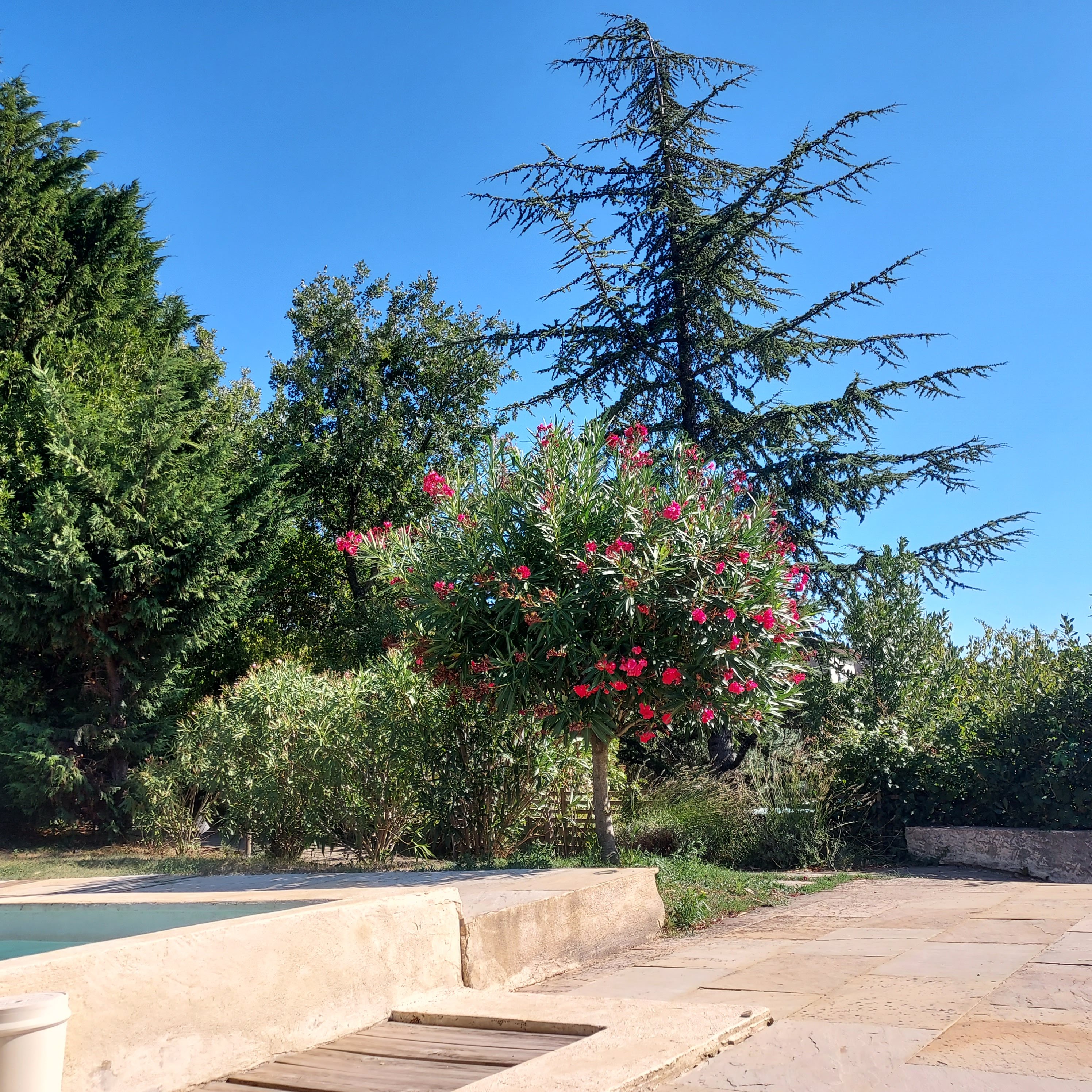 Photo n° 4 de l'avis de Sandra.A fait le 23/08/2022 à 17:57