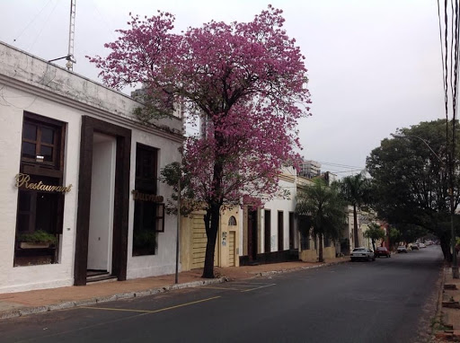 Medicos Neurología Asunción