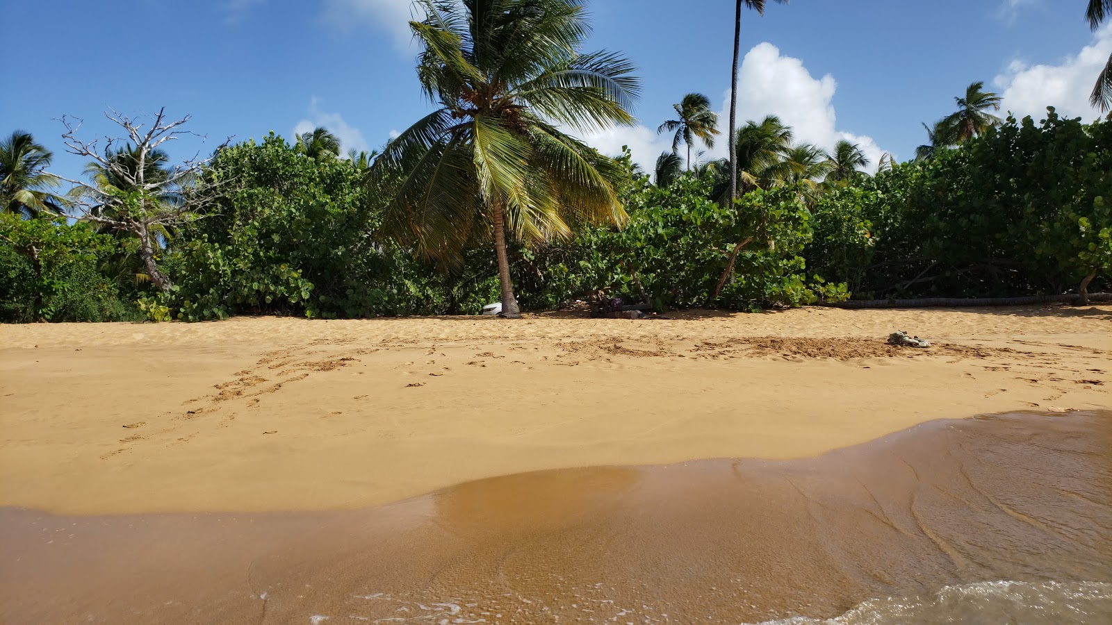 Playa Vacia Talega'in fotoğrafı ve güzel manzarası