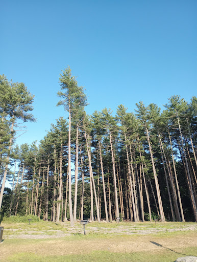 State Park «Hopkinton State Park», reviews and photos, 164 Cedar St, Hopkinton, MA 01748, USA