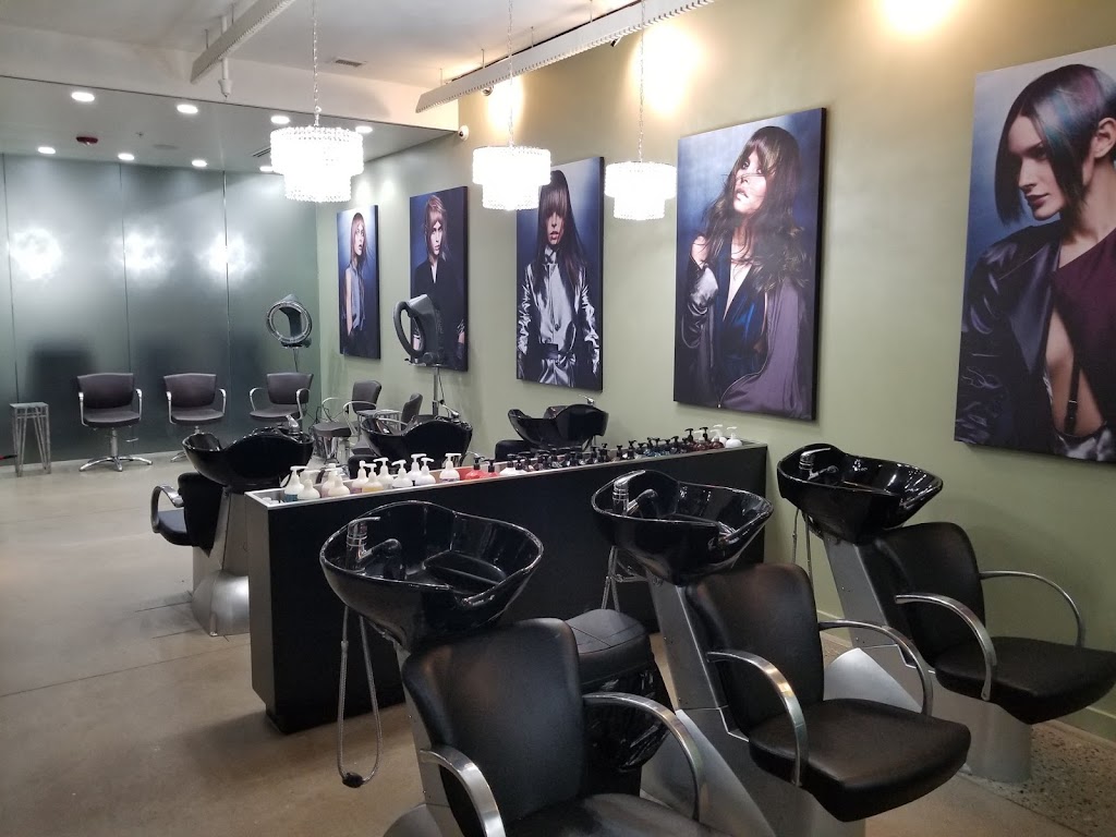 One Salon and Spa 48116