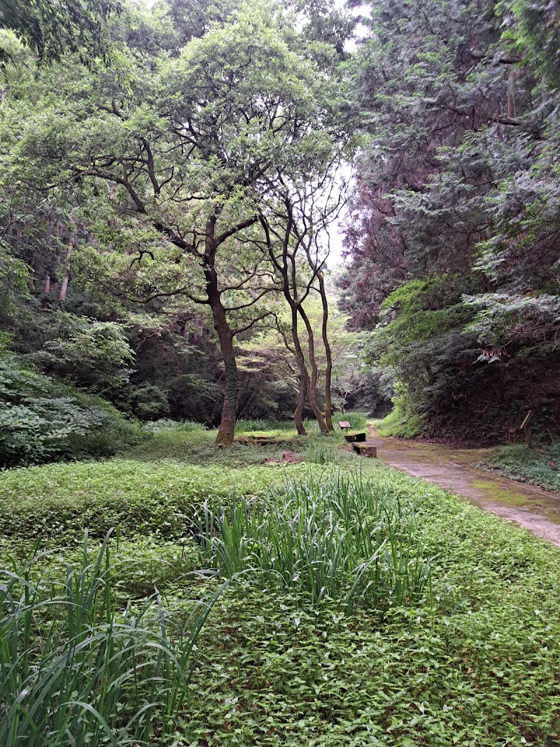 榛原ふるさとの森