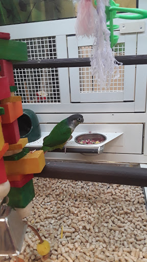 Pet Supply Store «PetSmart», reviews and photos, 5200 W Main St, Kalamazoo, MI 49009, USA