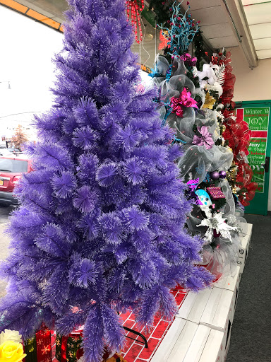 Discount Store «Family Values Discount Store», reviews and photos, 3449 Boston Rd, Bronx, NY 10469, USA