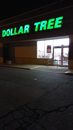 Dollar Store «Dollar Tree», reviews and photos, 5918 Middlebelt Rd, Garden City, MI 48135, USA