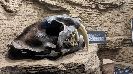 Tourist Attraction «Arizona Museum of Natural History», reviews and photos, 53 N Macdonald, Mesa, AZ 85201, USA