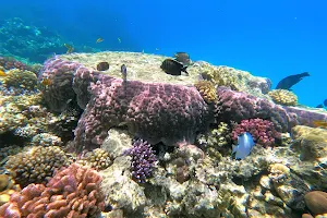 Faraana Reef Beach image
