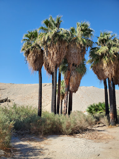 Wedding Venue «Desert Adventures Metate Ranch», reviews and photos, 38635 Monroe St, Indio, CA 92203, USA