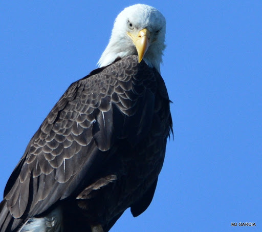 National Park «Fort Washington Park», reviews and photos, 13551 Fort Washington Rd, Fort Washington, MD 20744, USA