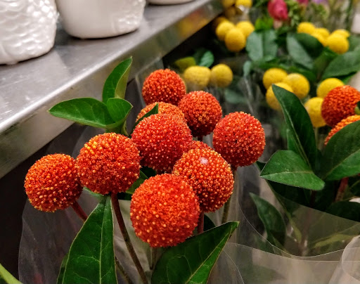 Grocery Store «Metropolitan Market Sand Point», reviews and photos, 5250 40th Ave NE, Seattle, WA 98105, USA