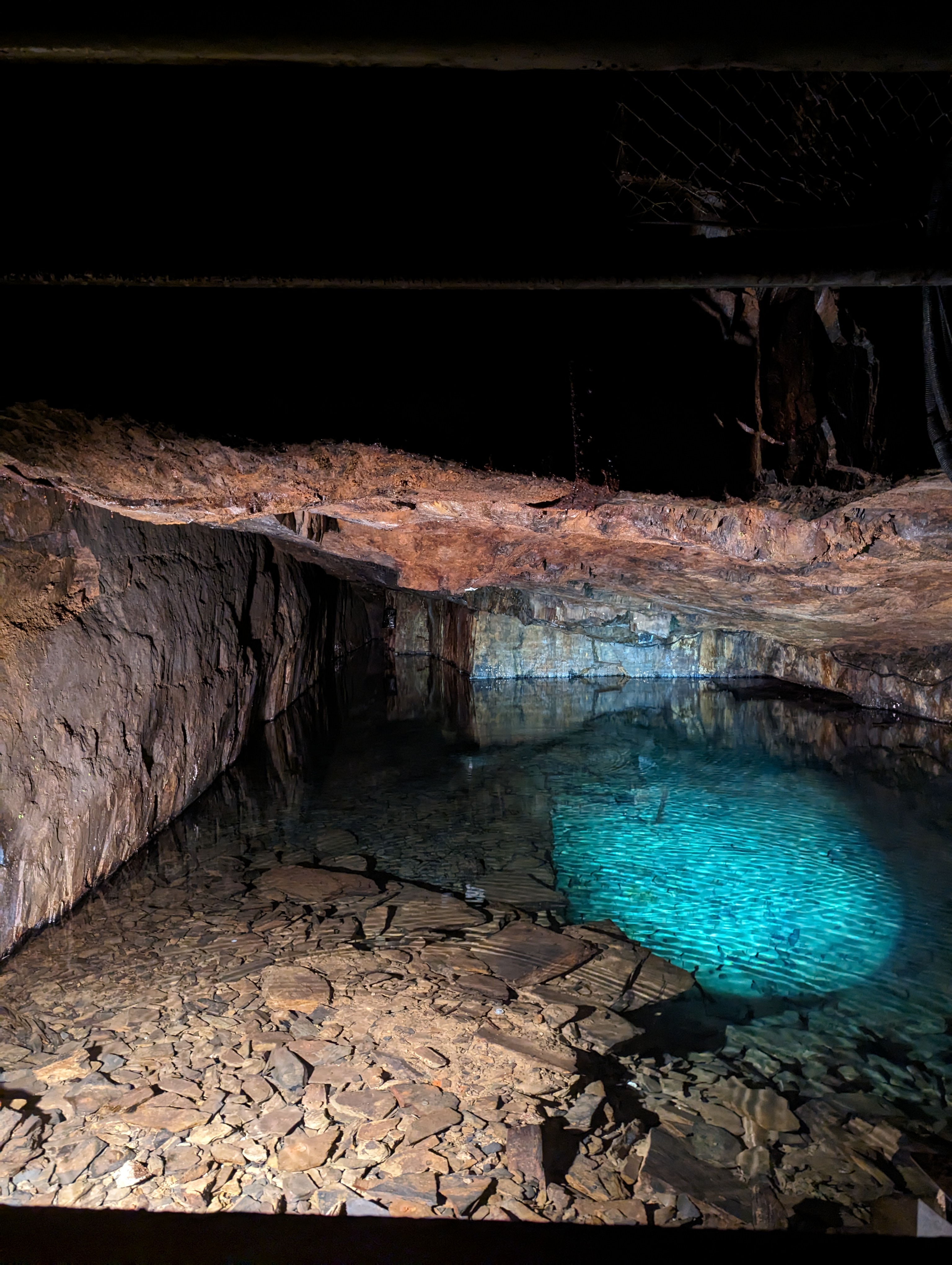 Photo n° 1 de l'avis de mouqueta. fait le 14/10/2023 à 14:29