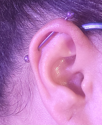 Explore bisexual tattoo ideas, creative tattoo ideas in North Charleston, available at Exotic Impressions Body Piercing