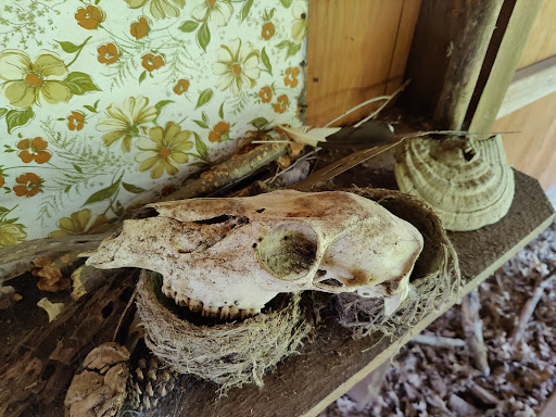 Nature Preserve «Sutherland Nature Sanctuary», reviews and photos, 3998 Diehl Rd, Metamora, MI 48455, USA