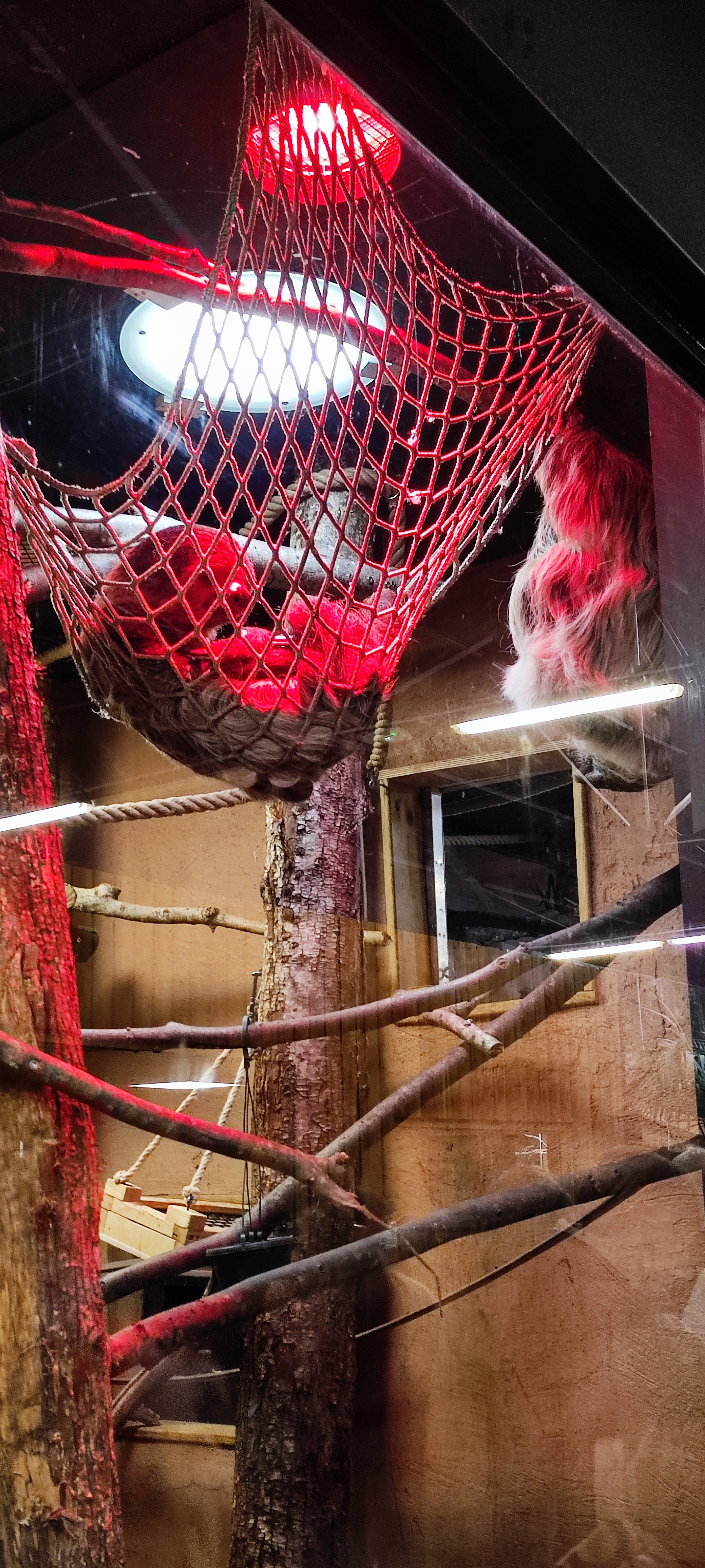 Photo n° 8 de l'avis de Nadia. fait le 29/04/2023 à 16:51