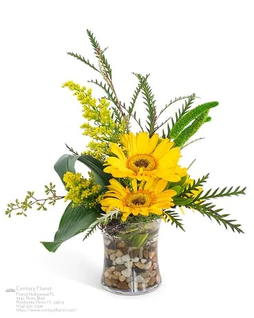 Florist «Century Florist», reviews and photos, 9941 Pines Blvd, Hollywood, FL 33025, USA