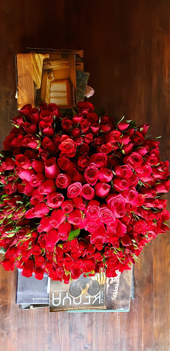 Book Store «The Island Bookstore», reviews and photos, 1130 Corolla Village Rd, Corolla, NC 27927, USA