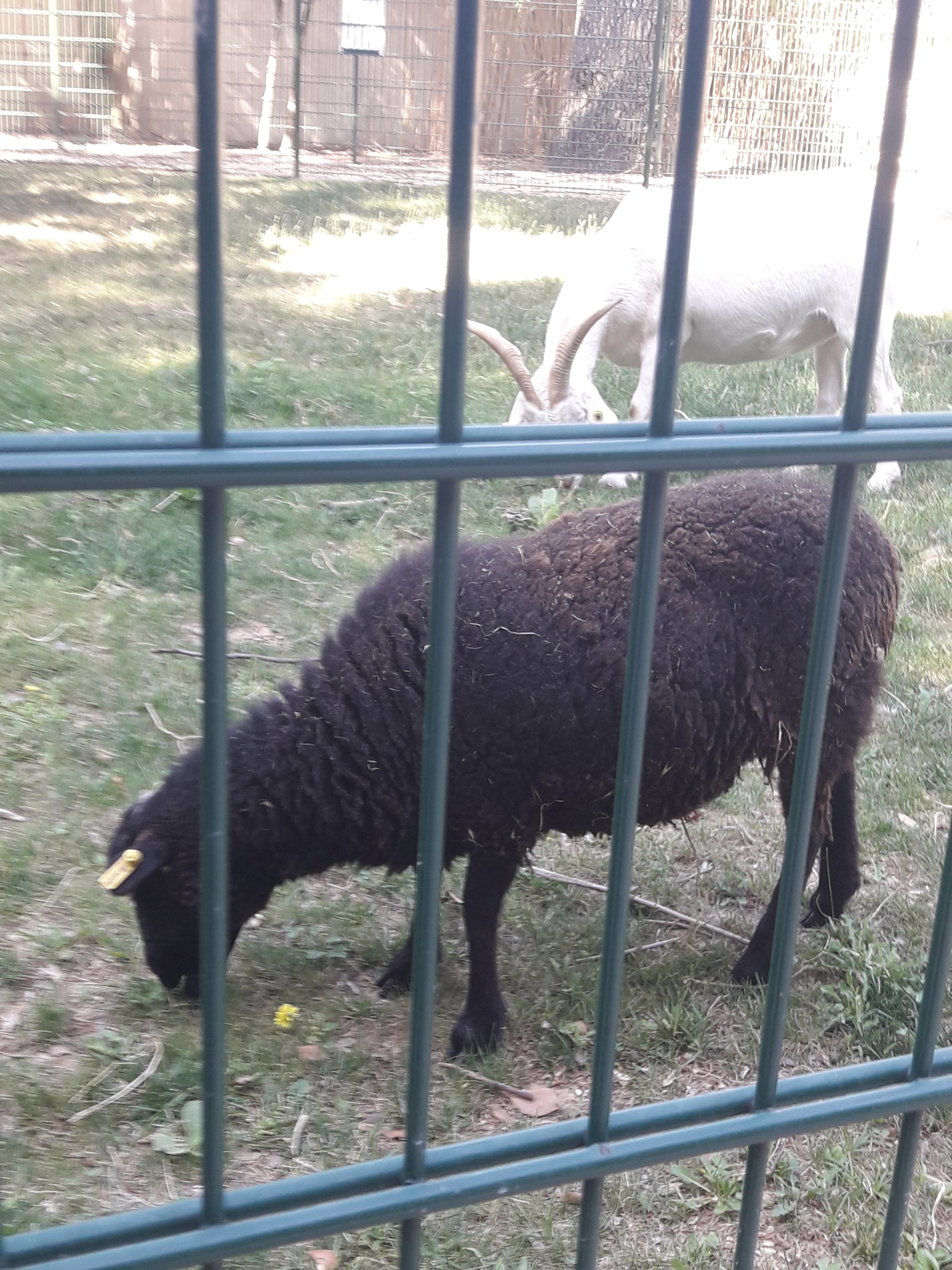 Photo n° 2 de l'avis de Lionel.a fait le 29/06/2019 à 10:44