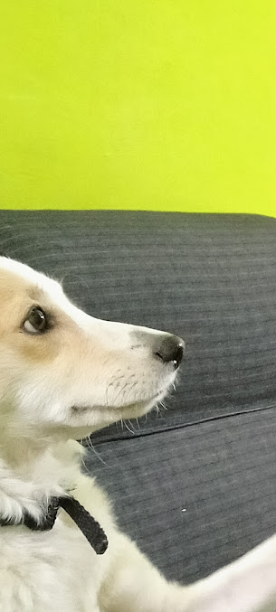 Google Maps image 29