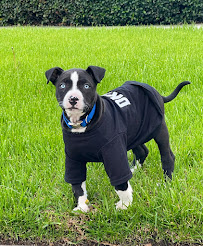 Reign Photography 1111 - Photo 3 - Car repair in Tustin, CA, Santa Ana