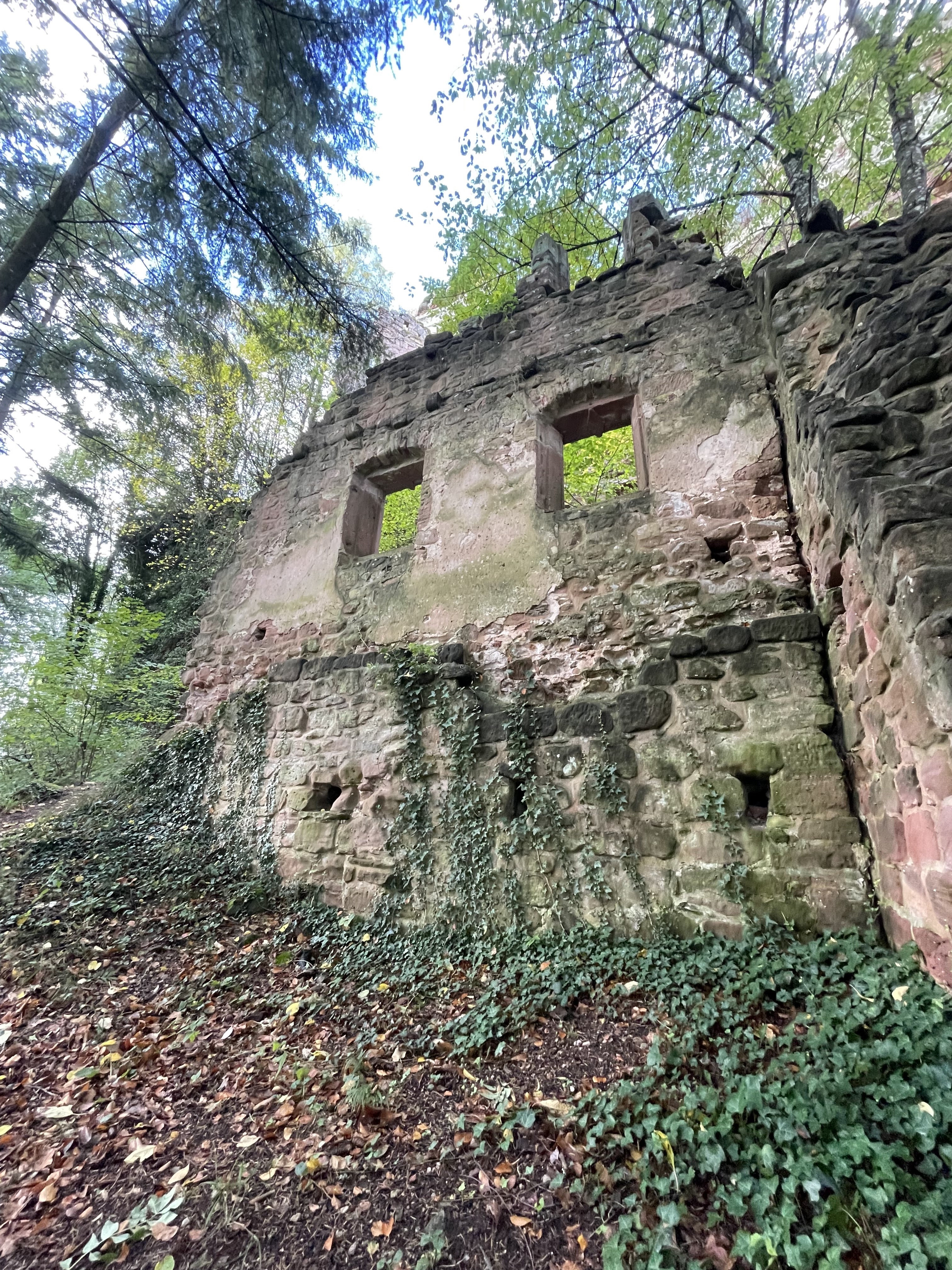 Photo n° 2 de l'avis de Chloé. fait le 25/10/2023 à 21:18