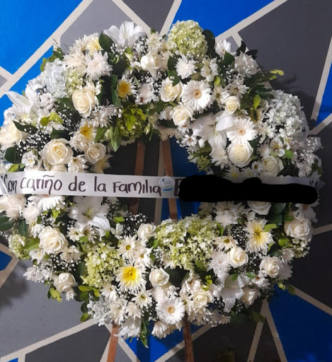 Nova Fleur (casa floral) – Degollado