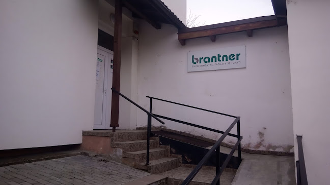 Opinii despre Brantner Environment în <nil> - Servicii de curățenie