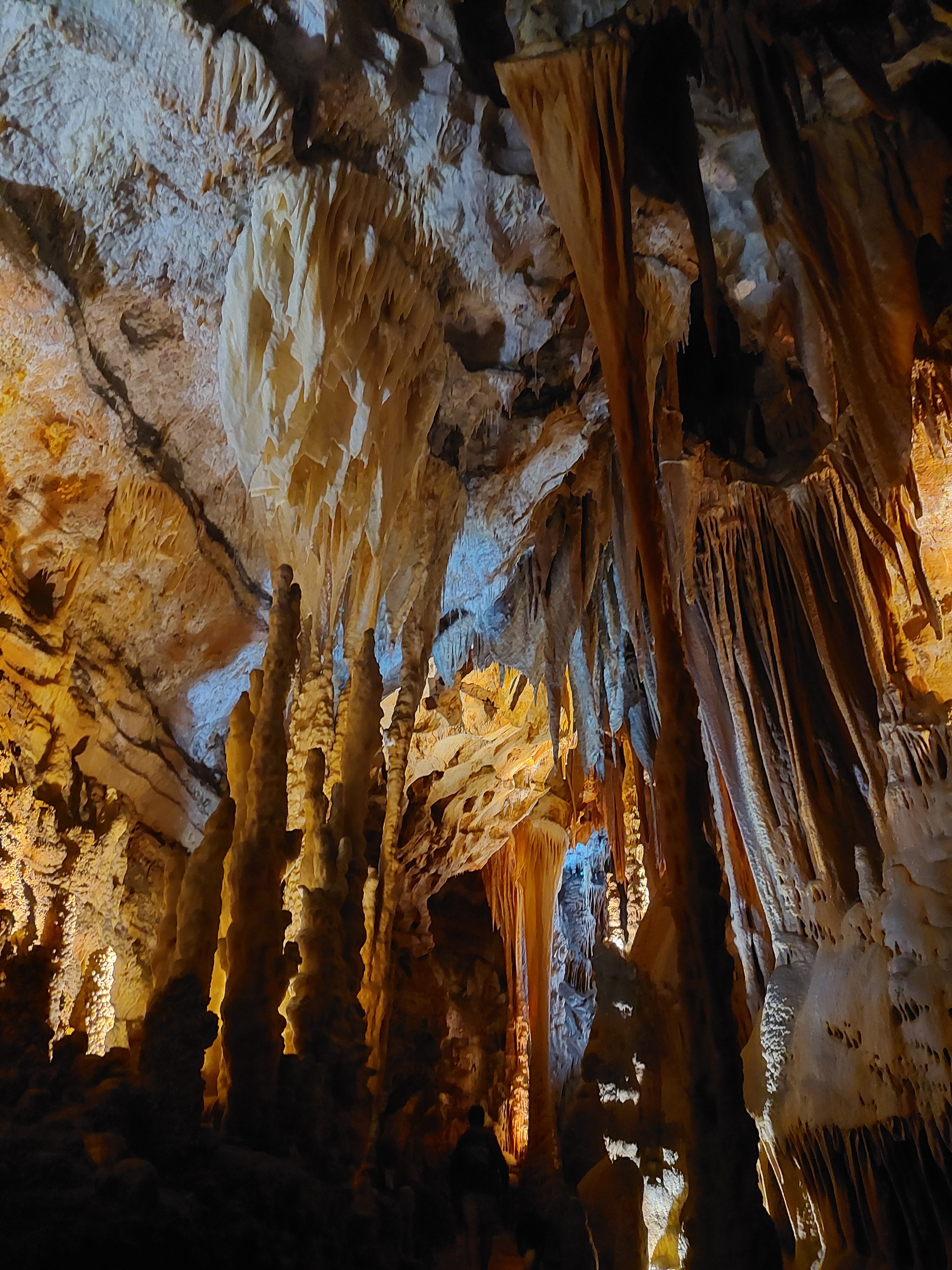 Photo n° 7 de l'avis de Magalie.e fait le 01/09/2022 à 15:20