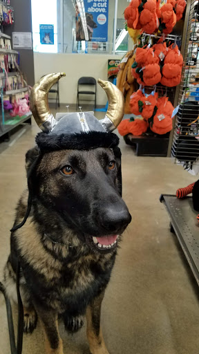 Pet Supply Store «Petco Animal Supplies», reviews and photos, 1210 Marvin Rd NE, Lacey, WA 98516, USA