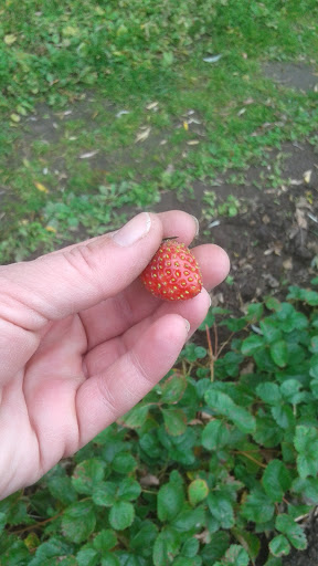 Produce Market «Natura Farms», reviews and photos, 19060 Manning Trail N, Marine on St Croix, MN 55047, USA