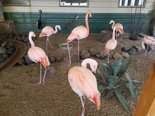 Zoo «Hemker Park & Zoo», reviews and photos, 26715 County Road 39, Freeport, MN 56331, USA