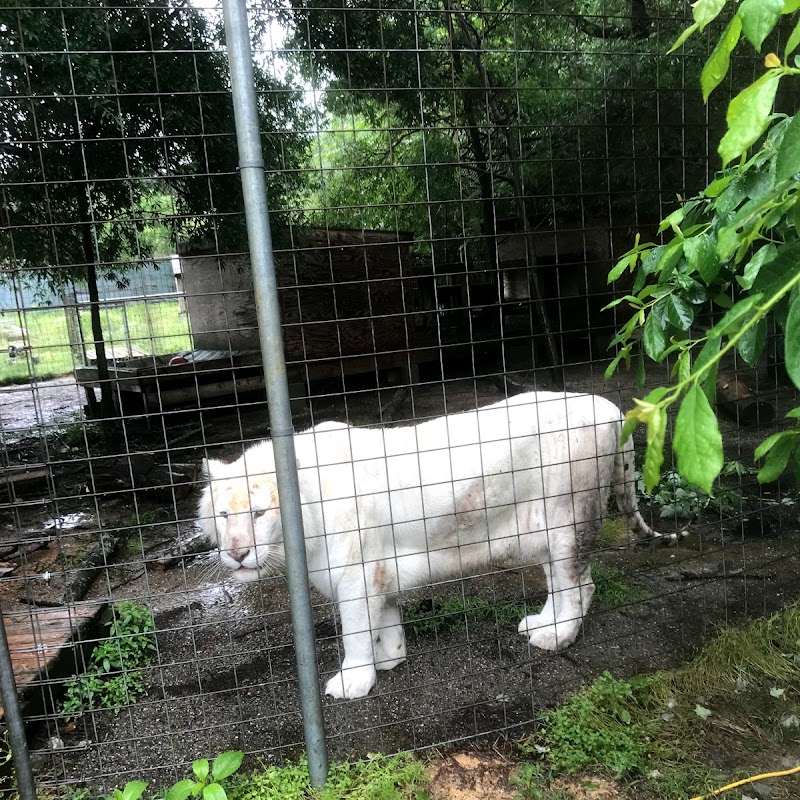 Animal Park at the Conservators Center