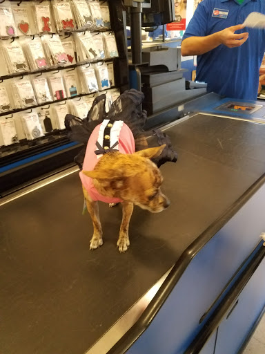 Pet Supply Store «PetSmart», reviews and photos, 33963 Doheny Park Rd, San Juan Capistrano, CA 92675, USA