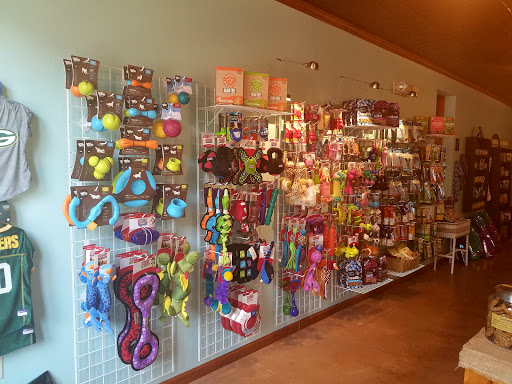 Golden Paw Pet Boutique