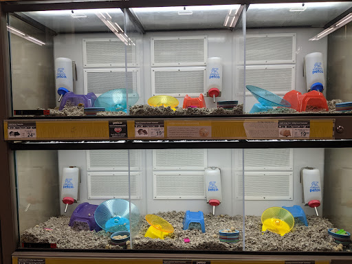 Pet Supply Store «Petco Animal Supplies», reviews and photos, 474 228th Ave NE, Sammamish, WA 98074, USA