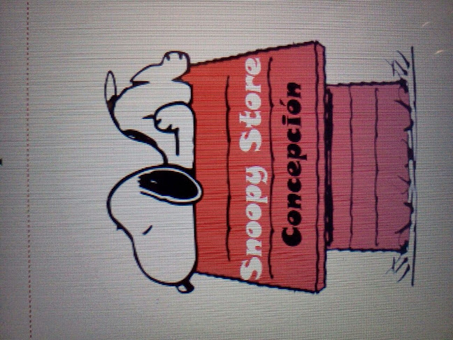 Snoopy Store Concepcion - Tienda