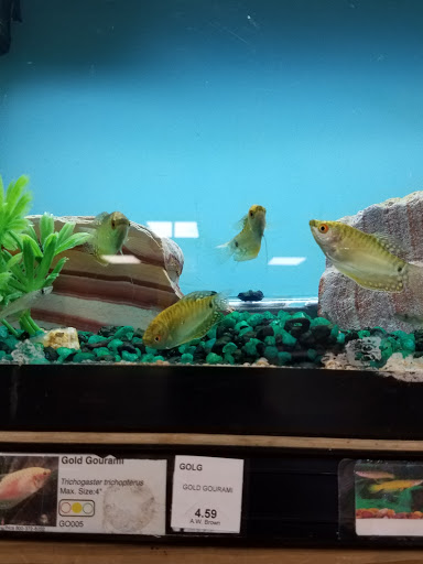 Garden Center «A W Brown Pet & Garden», reviews and photos, 144 Shaker Rd, East Longmeadow, MA 01028, USA