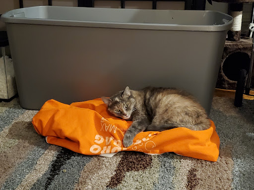 Pet Supply Store «Petco Animal Supplies», reviews and photos, 1309 W Main Rd, Middletown, RI 02842, USA