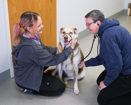 Humane Fort Wayne Spay/Neuter Clinic & Specialized Services image
