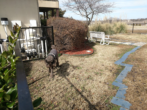 Golf Course «Buffalo Creek Golf Club», reviews and photos, 624 Country Club Dr, Rockwall, TX 75032, USA