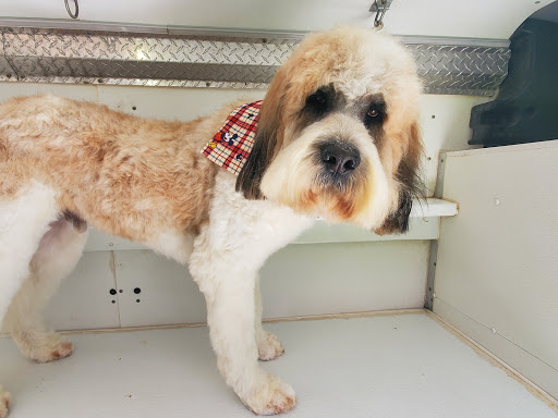 Pet care mobile grooming